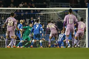 Intense Championship Showdown: Brighton and Hove Albion vs. Reading (15 March 2016)