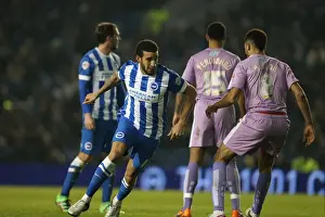 Intense Championship Showdown: Brighton and Hove Albion vs. Reading (15 March 2016)