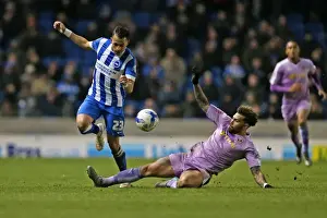 Intense Championship Showdown: Brighton and Hove Albion vs. Reading (15 March 2016)