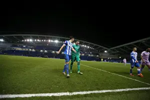 Intense Championship Showdown: Brighton and Hove Albion vs. Reading (15 March 2016)