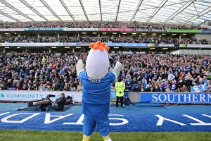 Intense Championship Showdown: Brighton and Hove Albion vs. Burnley (April 2016)