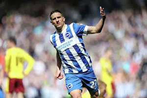 Intense Championship Showdown: Brighton and Hove Albion vs. Burnley (April 2016)