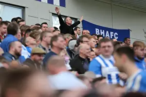 Intense Championship Showdown: Brighton and Hove Albion vs. Burnley (April 2016)