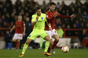 Intense Championship Showdown: Brighton and Hove Albion vs. Nottingham Forest (11APR16)