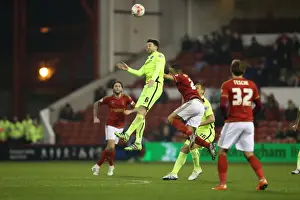 Intense Championship Showdown: Brighton and Hove Albion vs. Nottingham Forest (11APR16)