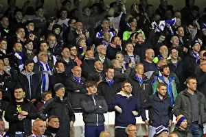 Intense Championship Showdown: Brighton and Hove Albion vs. Nottingham Forest (11APR16)