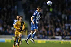 Intense Championship Showdown: Brighton and Hove Albion vs. Fulham (15th April 2016)