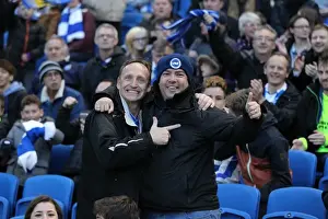 Intense Championship Showdown: Brighton & Hove Albion vs. Fulham (15th April 2016)