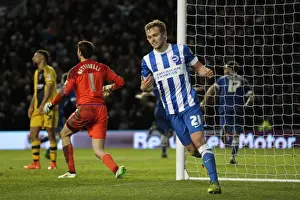 Intense Championship Showdown: Brighton & Hove Albion vs. Fulham (15th April 2016)