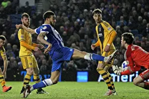 Intense Championship Showdown: Brighton & Hove Albion vs. Fulham (15th April 2016)