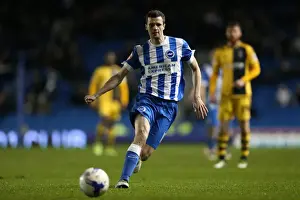 Intense Championship Showdown: Brighton and Hove Albion vs. Fulham (15th April 2016)