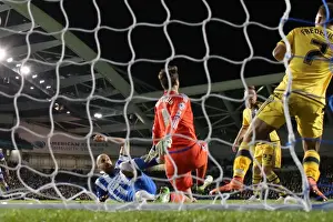 Intense Championship Showdown: Brighton and Hove Albion vs. Fulham (15th April 2016)