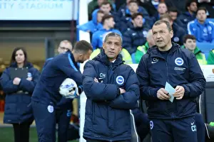 Intense Championship Showdown: Brighton and Hove Albion vs. QPR (19APR16)