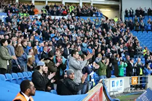 Intense Championship Showdown: Brighton and Hove Albion vs. QPR (19APR16)