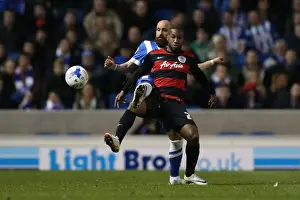Intense Championship Showdown: Brighton and Hove Albion vs. QPR (19APR16)