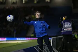 Intense Championship Showdown: Brighton & Hove Albion vs. QPR (19APR16)