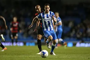 Intense Championship Showdown: Brighton and Hove Albion vs. QPR (19APR16)