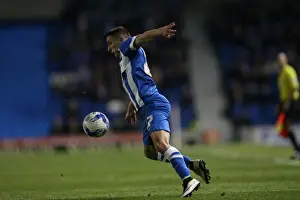 Intense Championship Showdown: Brighton and Hove Albion vs. QPR (19APR16)