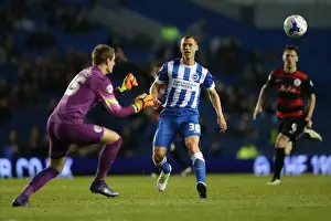 Intense Championship Showdown: Brighton and Hove Albion vs. QPR (19APR16)