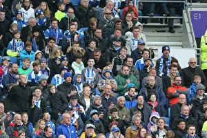 Intense Championship Showdown: Brighton and Hove Albion vs. Derby County (02.05.2016)