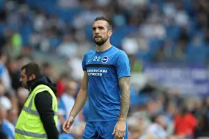 Intense Championship Showdown: Brighton & Hove Albion vs. Brentford (10SEP16)