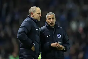 Intense Championship Showdown: Brighton & Hove Albion vs. Sheffield Wednesday (January 2017)
