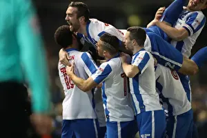 Intense Championship Showdown: Brighton and Hove Albion vs. Sheffield Wednesday (January 2017)