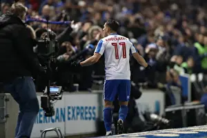 Intense Championship Showdown: Brighton & Hove Albion vs. Sheffield Wednesday (January 2017)