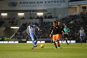 Intense Championship Showdown: Brighton & Hove Albion vs. Sheffield Wednesday (January 2017)