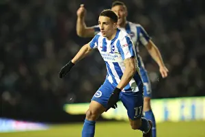 Intense Championship Showdown: Brighton & Hove Albion vs. Sheffield Wednesday (January 2017)