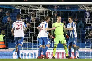 Intense Championship Showdown: Brighton & Hove Albion vs. Sheffield Wednesday (January 2017)