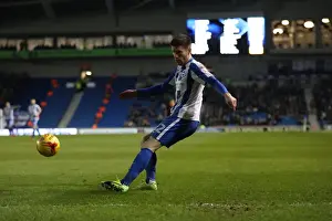 Intense Championship Showdown: Brighton and Hove Albion vs. Sheffield Wednesday (January 2017)