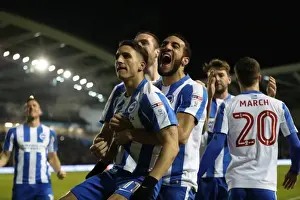 Intense Championship Showdown: Brighton & Hove Albion vs. Sheffield Wednesday (January 2017)