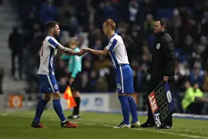 Intense Championship Showdown: Brighton & Hove Albion vs. Sheffield Wednesday (January 2017)