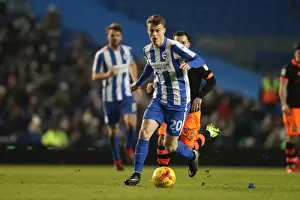 Intense Championship Showdown: Brighton & Hove Albion vs. Sheffield Wednesday (January 2017)