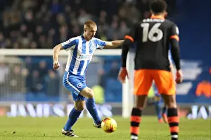 Intense Championship Showdown: Brighton & Hove Albion vs. Sheffield Wednesday (January 2017)