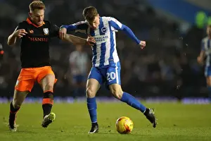 Intense Championship Showdown: Brighton and Hove Albion vs. Sheffield Wednesday (January 2017)
