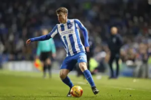 Intense Championship Showdown: Brighton and Hove Albion vs. Sheffield Wednesday (January 2017)