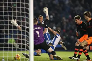 Intense Championship Showdown: Brighton & Hove Albion vs. Sheffield Wednesday (January 2017)