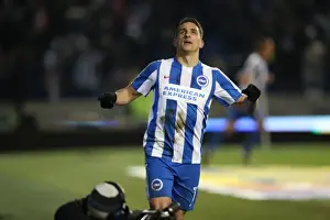 Intense Championship Showdown: Brighton & Hove Albion vs. Sheffield Wednesday (January 2017)