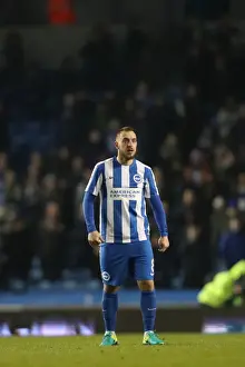 Intense Championship Showdown: Brighton & Hove Albion vs. Sheffield Wednesday (January 2017)
