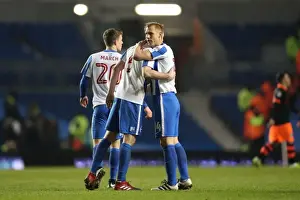 Intense Championship Showdown: Brighton & Hove Albion vs. Sheffield Wednesday (January 2017)