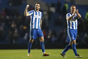 Intense Championship Showdown: Brighton and Hove Albion vs. Sheffield Wednesday (January 2017)