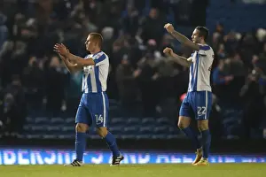 Intense Championship Showdown: Brighton & Hove Albion vs. Sheffield Wednesday (January 2017)