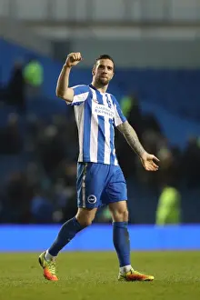 Intense Championship Showdown: Brighton & Hove Albion vs. Sheffield Wednesday (January 2017)