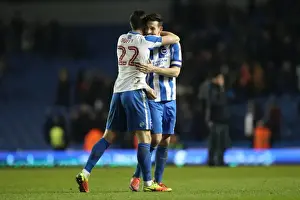 Intense Championship Showdown: Brighton & Hove Albion vs. Sheffield Wednesday (January 2017)