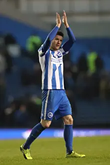 Intense Championship Showdown: Brighton and Hove Albion vs. Sheffield Wednesday (January 2017)