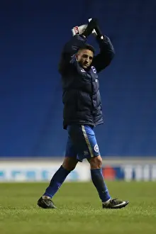 Intense Championship Showdown: Brighton and Hove Albion vs. Sheffield Wednesday (January 2017)