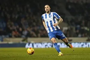 Intense Championship Showdown: Brighton & Hove Albion vs. Cardiff City (24Jan17)