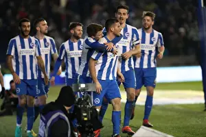 Intense Championship Showdown: Brighton and Hove Albion vs. Cardiff City (January 2017)
